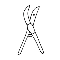 Pruner vector illustration, hand drawing doodles