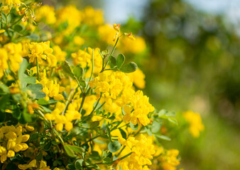 Atardecer en Víznar