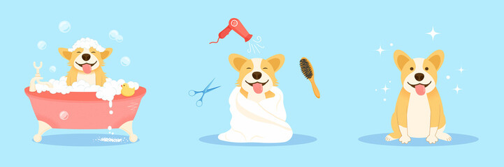 Dog spa and grooming service concept. Cute welsh corgi dog enjoying salon procedures, takes a bubble bath, blow dry wool. Clean happy pet. Cartoon vector set illustration.
