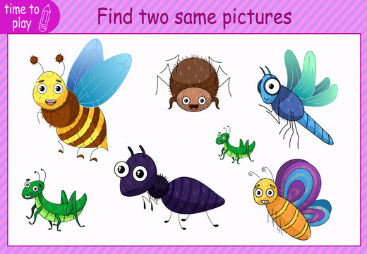 children's educational game, tasks. find two identical objects in the picture. insects, butterflies, dragonfly, spider, grasshopper, ant, wasp.