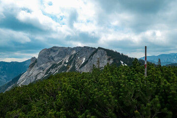 Naklejka premium Panoramic view on Buchbergkogel and mountain peaks of Hochschwab Region in Upper Styria, Austria. Cloudy and misty atmosphere in beautiful Alps in Europe. Terrain full of dwarf mountain pine bush