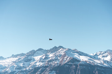 Fototapeta na wymiar Horizontal shot of Andean condor flying in profile over snow-capped Andes mountains, Chile.snow