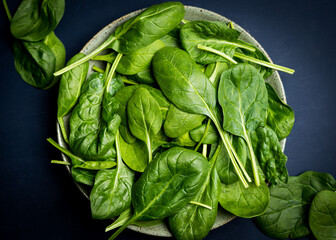 baby spinach on a dark background