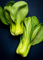 Baby bok choi on a blue background