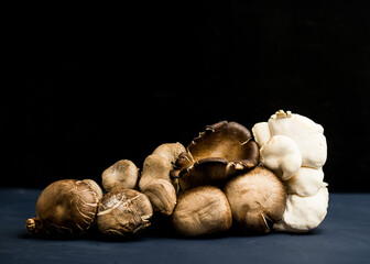 assorted mushrooms on a dark background