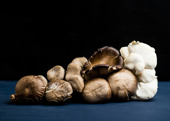 assorted mushrooms on a dark background