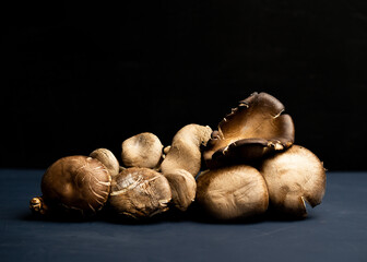 assorted mushrooms on a dark background