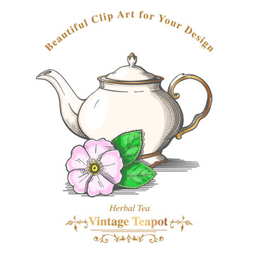Beautiful Vintage Teapot with text, rosehip flower and leaves isolated on white background. Vector Illustration.