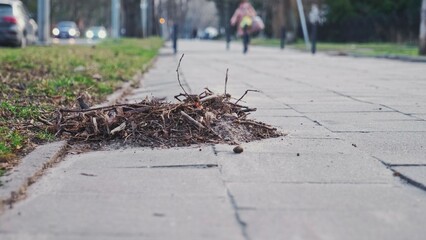 Pile of Street Dust Dirt Swept on Sidewalk Pavement Curb by City Cleaning Service	