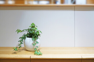 棚の上に置かれたアイビー