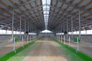 Fototapeta na wymiar Construction of a large barn on the farm. Modern barn for dairy cows