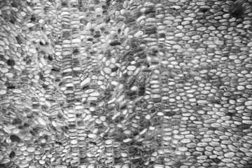 Pebble road in the city center. Mosaic in Rhodes