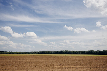 A plowed field, a forest belt and a clear blue sky with clouds on a sunny day. Storks in the field. Landscape