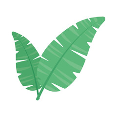 tropical leaves icon