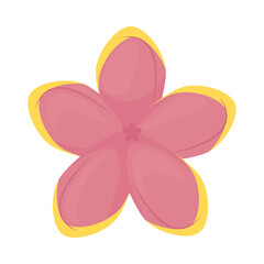 pink lily flower icon
