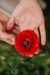 young couple holding a red poppy flower in the heart of which are engagement rings