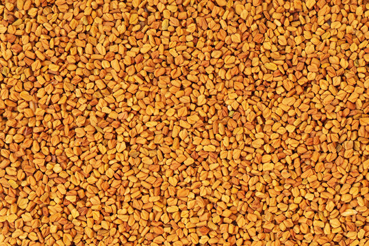 Texture from fenugreek seeds flat lay top view