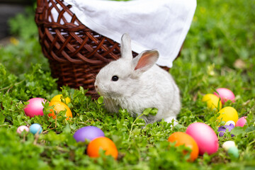 Little Easter Bunny on the grass near colorful eggs.