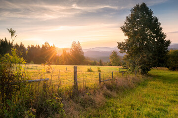 Golden hour in picturesque landscape with green meadows in Beskid mountains, Carpathians, Czech Republic. Peaceful quiet landscape in early morning. Beautiful tranquil nature in warm summer colors.