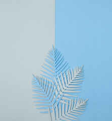 Tropical Leaf on a Various Blue Background. Flatlay with Paper Cut Palm Tree Leaves on a Geometric Backdrop ideal for Banner, Card, Greetings. Top-Down View. No text.