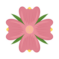 pink flower design