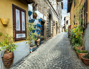 Fototapeta na wymiar Charming floral narrow streets of typical italian villages. Vallerano, medieval borgo of Italy in Laizo region