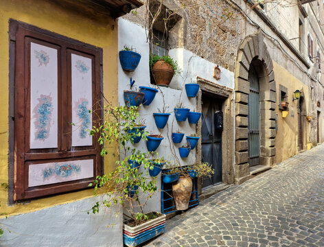 Flower streets wall decoration. Charming floral narrow streets of typical italian villages. Vallerano, medieval borgo of Italy