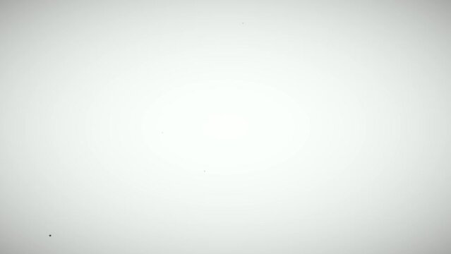 Black dust, particles, scratches and dirt moving on a white blackground. Old dynamic film rolling effect video overlay. 4k footage.