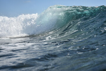 the beauty of a wave to surf