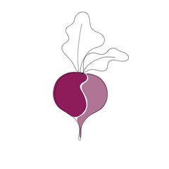 One line purple beet. Vector minimalist illustration isolated on white background. 