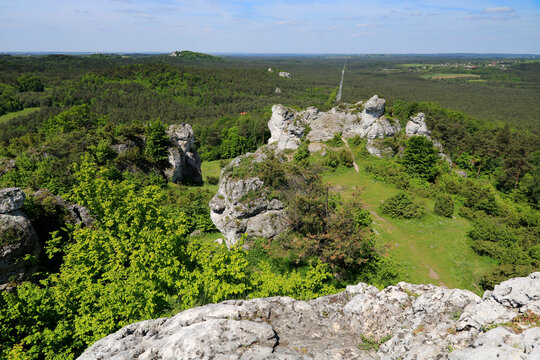 Mount Zborow nature reserve, Krakow-Czestochowa Upland (Polish Jura), Poland
