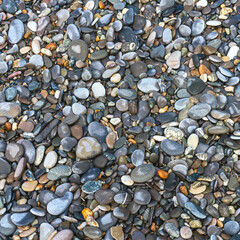 colored sea pebbles on a rocky beach close-up