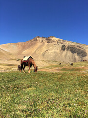Cabalgata por Cordillera de los Andes, Argentina