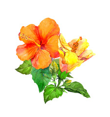 Yellow hibiscus flower. Watercolor hand painted illustration