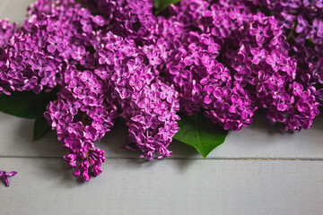Grey wooden background with flowering lilac branches