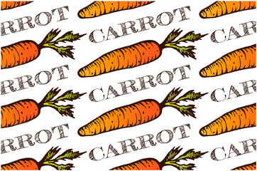 Sketch drawing pattern of orange carrot isolated on white background. Hand drawn realistic carrot vegetable wallpaper. Engraved organic food packaging. Healthy, text, cooking. Vector illustration.