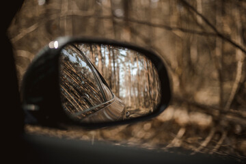 Car mirror in the forest 