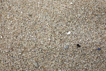 17-Miles-Drive - Fan Shell Beach Overlook (Kalifornien/USA)   