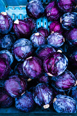 Fototapeta na wymiar whole heads of purple color red cabbages in blue plastic bin at farmers market