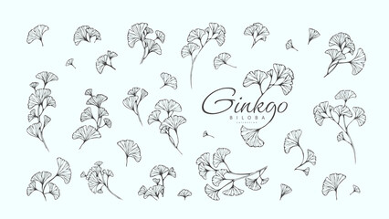Ginkgo biloba floral logo and branch set. Hand drawn line wedding herb, elegant leaves for invitation save the date card. Botanical - obrazy, fototapety, plakaty