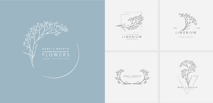 Limonium, Babys Breath Logo And Branch. Hand Drawn Wedding Herb, Plant And Monogram With Elegant Leaves For Invitation Save The Date Card Design
