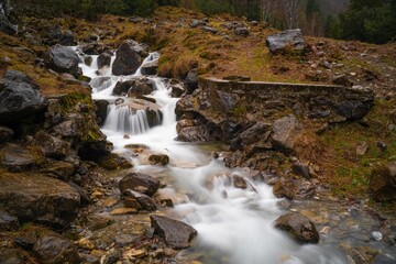 Fototapeta na wymiar small creek water strem in long exposure