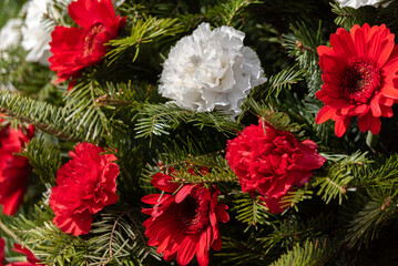 White and red flowers in a wreath with coniferous branches. The national colors of the Polish symbol of the national holiday in Poland.