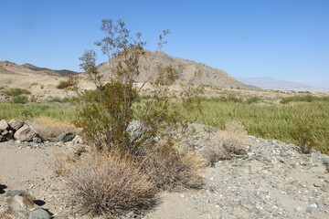 The scenic beauty of the Mojave Desert, outside of Pahrump, Clark County, Nevada.