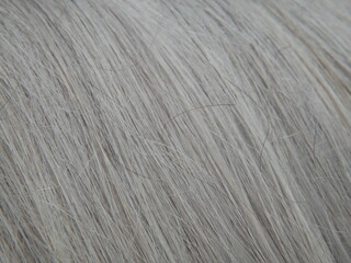 Cheveux gris et blanc en gros plan