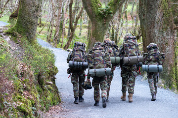 Irish defence forces army soldiers in camouflage training in the woods in Wicklow 