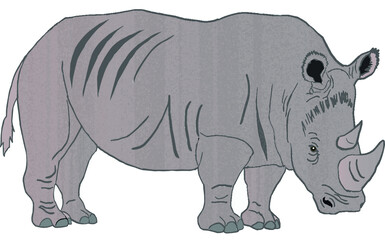 Fototapeta na wymiar Rinoceronte 