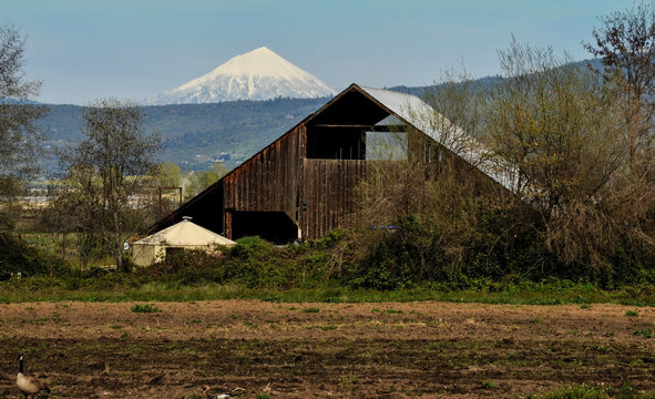 barn with mountain