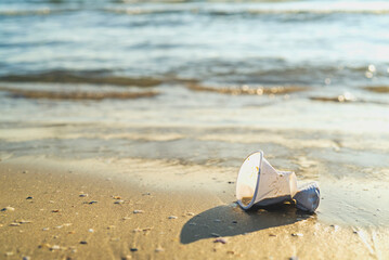 A plastic cup lying on the beach by the ocean