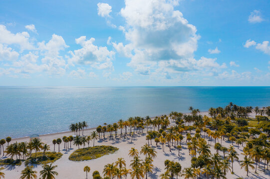  View Of Crandon Park In Key Biscayne, Florida